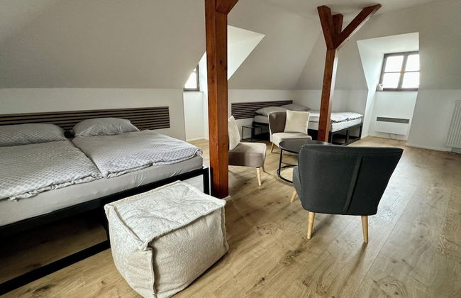 Family Apartments Černice - Foto 33