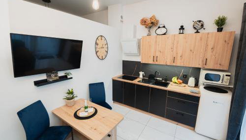 Apartament GÓRSKIE MAZURY w Lagunie Beskidów - Foto 2, toaster