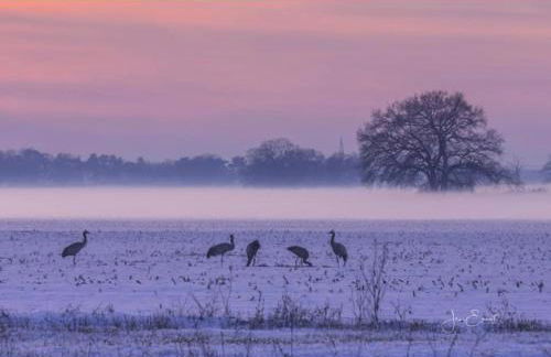 Gnaden- und Ferienhof Saale Wittgenstein in the middle of gar nix - Foto 72