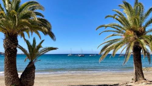 C'est la vie - Foto 2