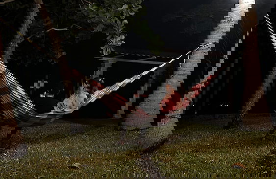 Paradise Bay - Foto 25