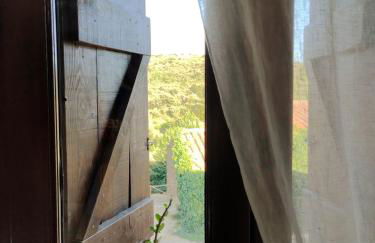 masia riu dels arbres - Foto 8