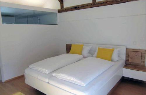 Ferienwohnungen Schönbachtal - Foto 2