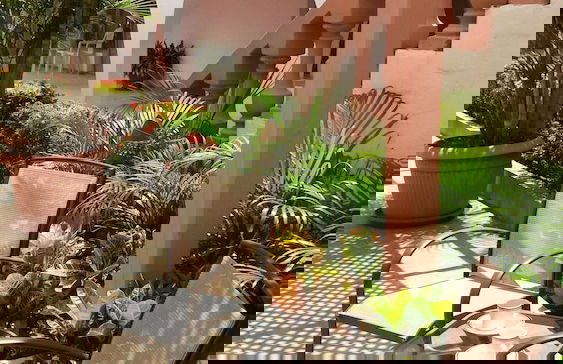 Sasaki Apartments - Foto 34