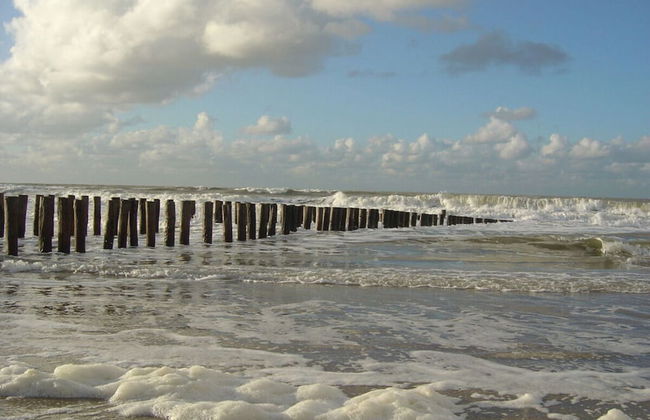 Schelphoekje Modern Retreat - Photo 17