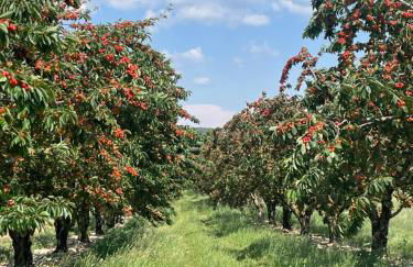 lagalerie84 - Foto 54