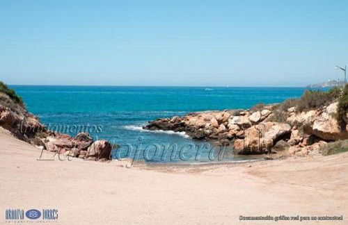 La Mojonera - Foto 11