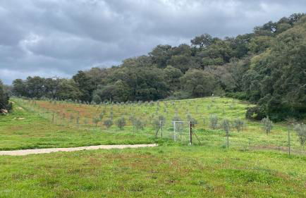 FAMILIAR y UNICA VILLA EN GAUCIN - Foto 8