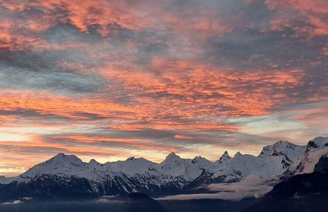 Stunning Apartment in Heart of Valley - Photo 14