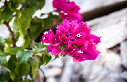 Holiday Home Gluscevic - Photo 50