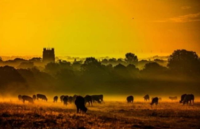 Charming 2-bed Cottage on Outskirts of Beverley - Foto 18