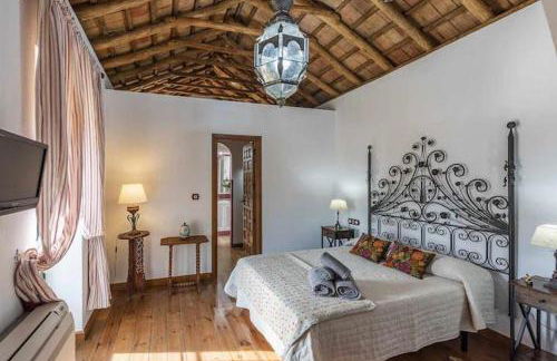 Cortijo Pavia - Photo 23