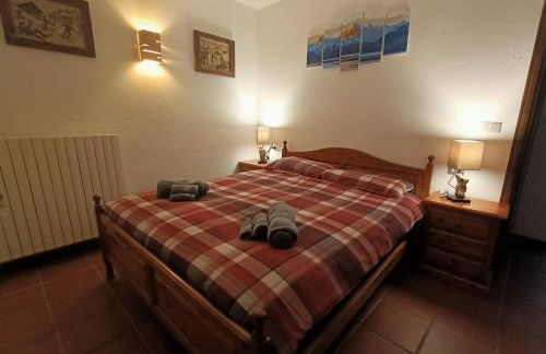 La maison des Guides - trilocale a 500 mt dalle piste di Dolonne - Foto 16