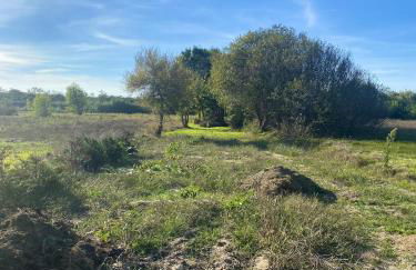 Welcoming house with terrace and garden in Barra de Mira - Foto 55