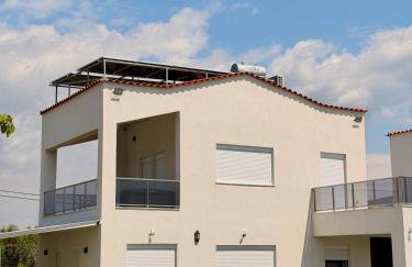 Platan Paradise - Foto 7