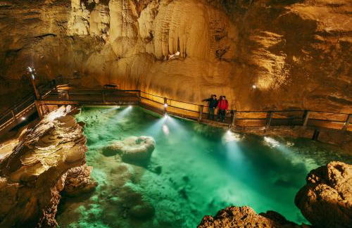 Gîte Le Petit Bois, près de Rocamadour, Padirac - Foto 34