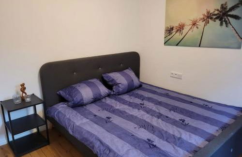 Neues 2 Zimmer Schmuckstück - Foto 14