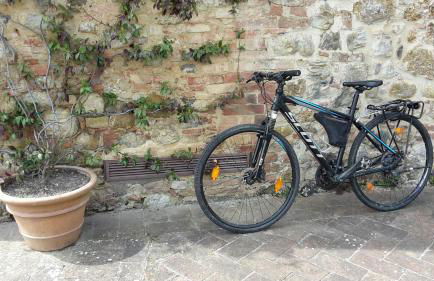 Bosco Della Spina - Foto 38