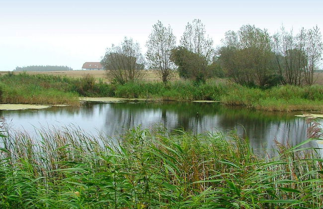 Luxury Spa Retreat by Sea - By Traum Ferienwohnungen - Foto 32