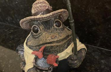 Appalachian Haven - Mountain Views - Vet Owned - Foto 18