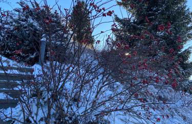 Lichtblick unter der Buche - Foto 17