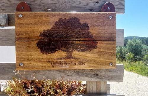 Quinta De Oliveiras - Foto 48