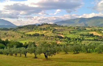 Holiday Villa in Sabina with Private Pool - Foto 37