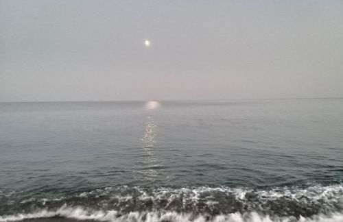 IERRE VATICANO " il piacere dell'accoglienza" - Foto 30