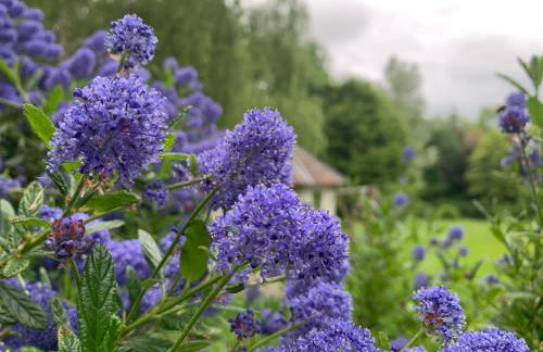 Trillow House, Clungunford, Ludlow - Foto 28