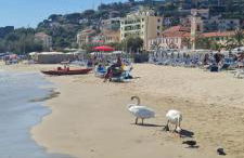 La dimora di Anna - Foto 17