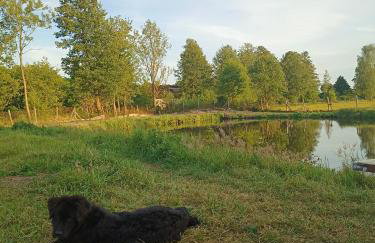 Gospodarstwo Agroturystyczne Irena Naruszewicz - Foto 39