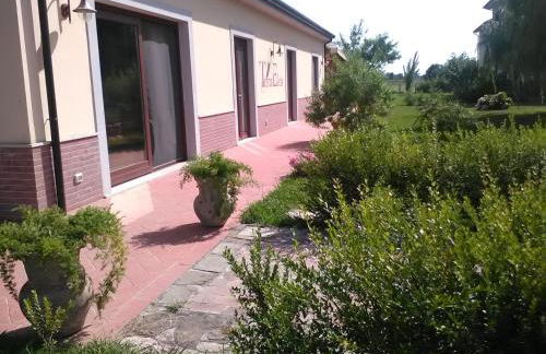 Agriturismo Terra Di Elea azienda agricola di Raimondo MIchela - Foto 34