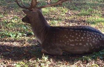 Residenza Letizia - Foto 10