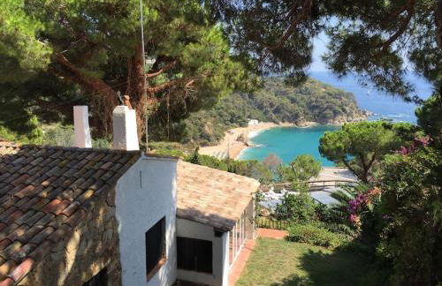 Villa Mitjorn Cala Canyelles - Foto 73