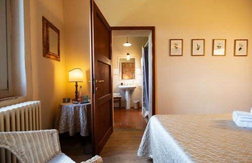 Villa Porcigliano Olive Grove - Photo 13