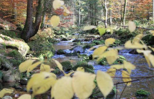 Ferienhof Aiginger - Foto 16