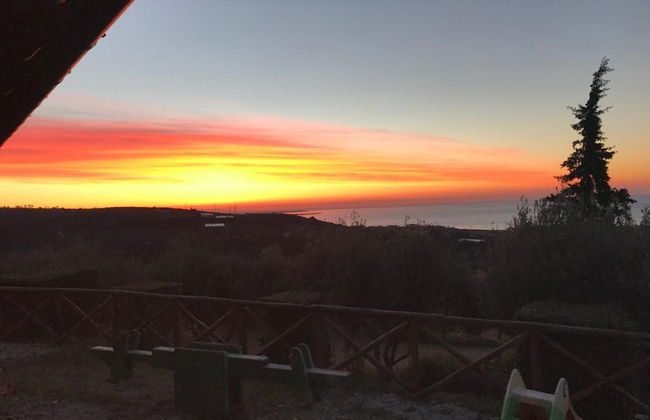 I Cardinali - Foto 12