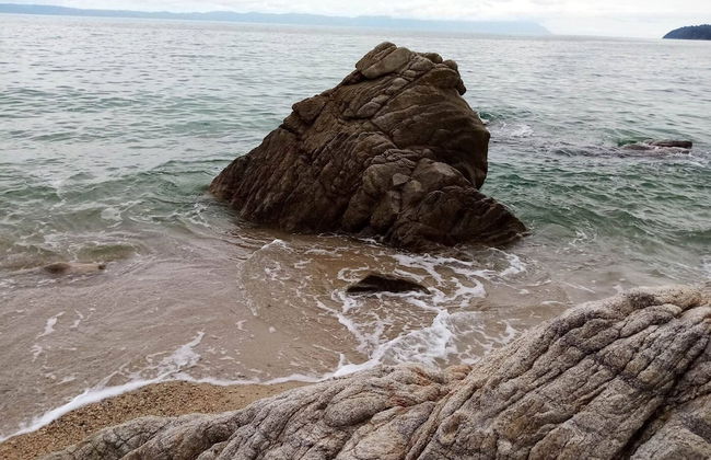 Beautiful Petrino 1880 - Photo 42