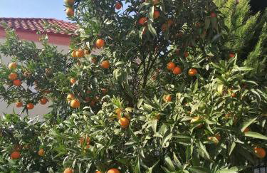 Cosy house Stratoni Chalkidiki 300m from beach - Foto 20
