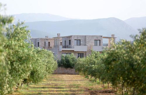 Azari Lifetime Memories - Photo 4