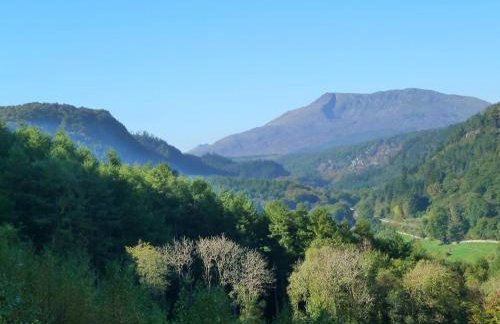 Dolmurgoch Snowdonia Cottage - Foto 15