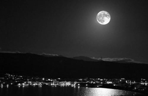 4REST VILA - Photo 71