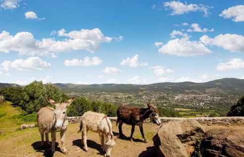 Gorgeous Home In Privas With Sauna - Foto 24