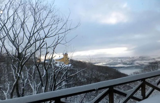 Rental Lodge WHITE RABBIT Madarao kogen Cottage MIDORINO KAZE - Photo 8