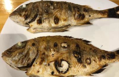 Gregory's Village - Foto 14