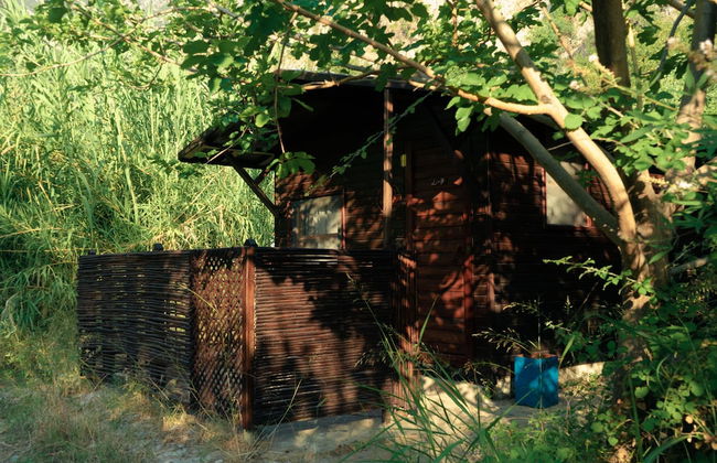 Kelebekler Vadisi Butterfly Valley - Foto 15