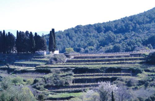 Heritage Apartments Kyra & Fox in Pitve, Hvar - Photo 14