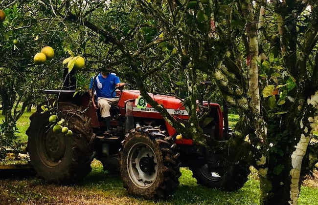 Orchard House - Photo 17