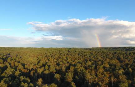 Millygite Cosy Loft - Foto 9