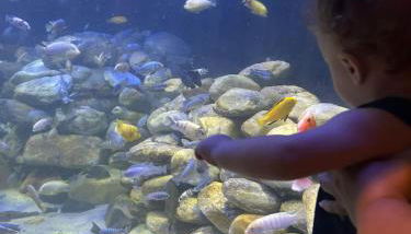 Revigore-se e desfrute o que a vida tem de bom - Foto 5